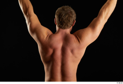 Arm Back Man Muscular Studio photo references